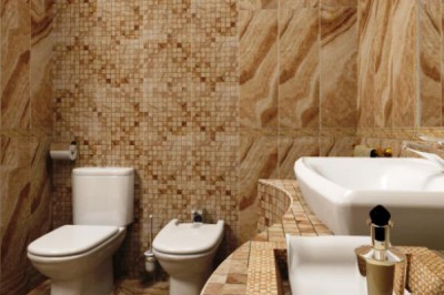 Mga tile para sa banyo at banyo ng iba't ibang laki sa isang tapusin