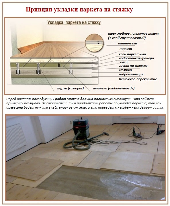 Ang prinsipyo ng paglalagay ng parquet sa isang kongkreto na base na may screed