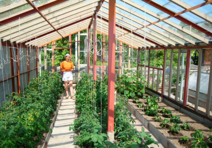 Greenhouse sa kubo