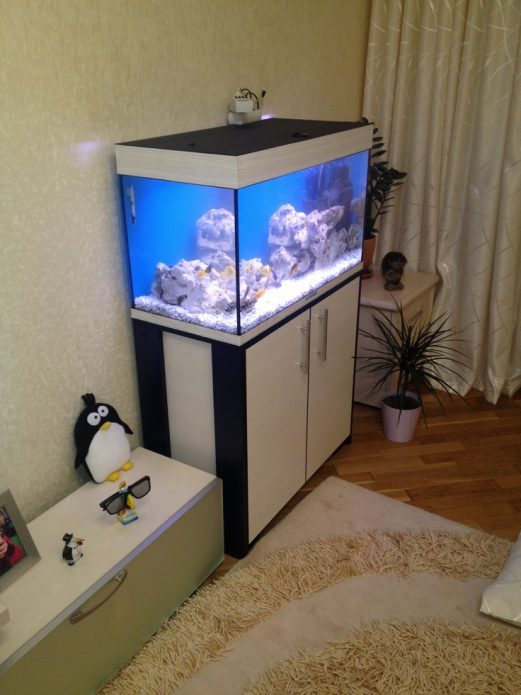 Aquarium sa apartment