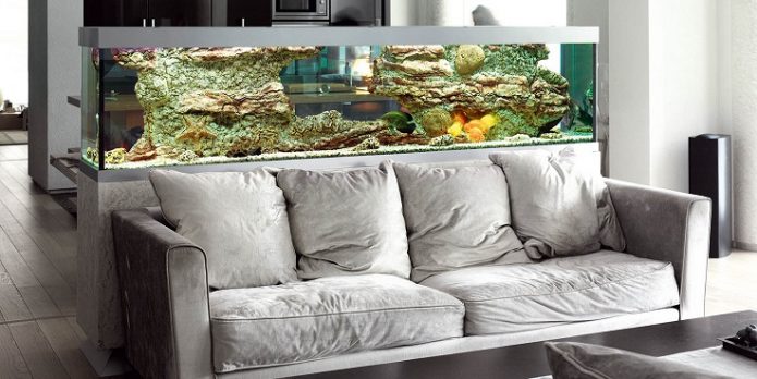 Aquarium sa apartment