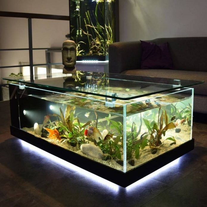 Aquarium sa apartment