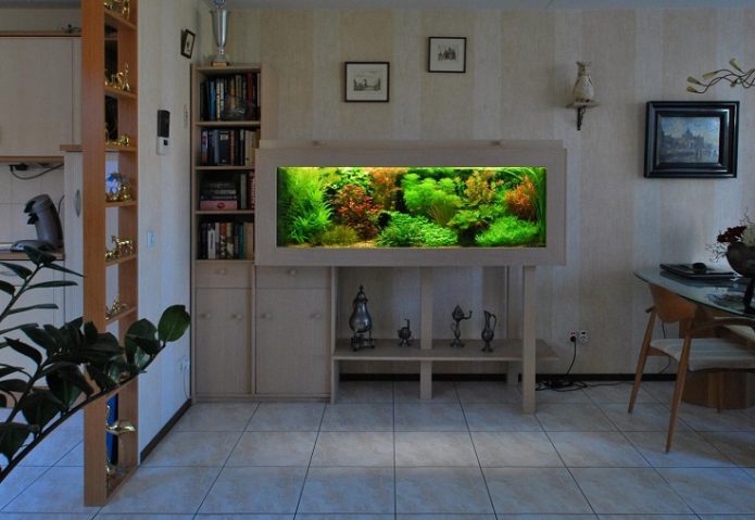 Aquarium sa apartment