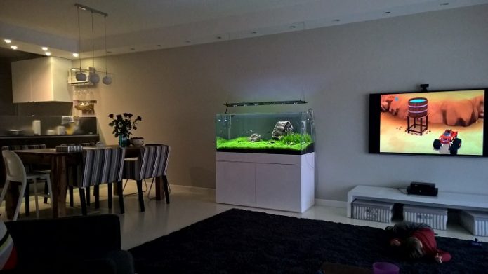 Aquarium sa apartment