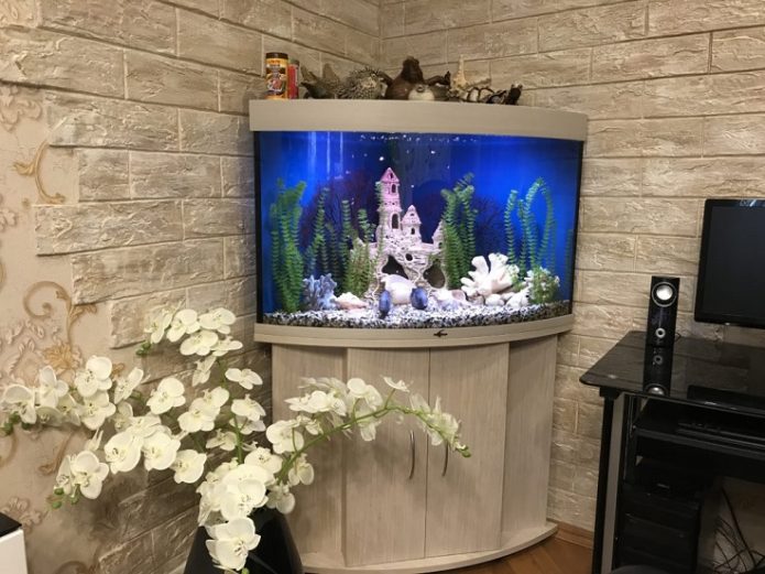 Aquarium sa apartment