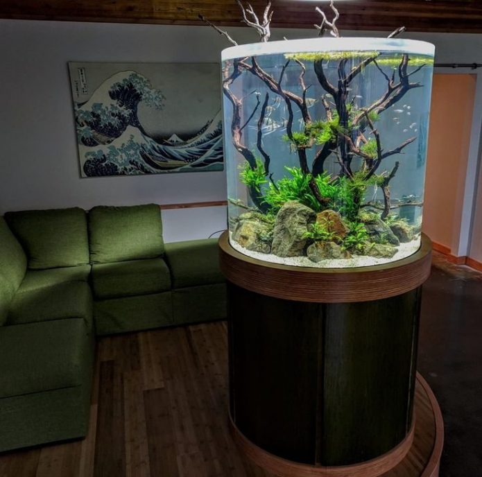 Aquarium sa apartment