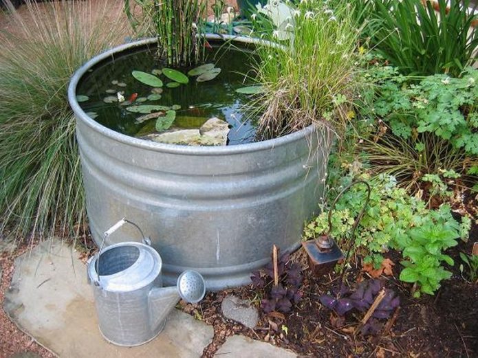 Mini pond sa isang tanke ng metal