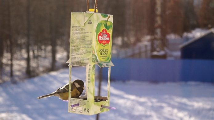 DIY bird feeder