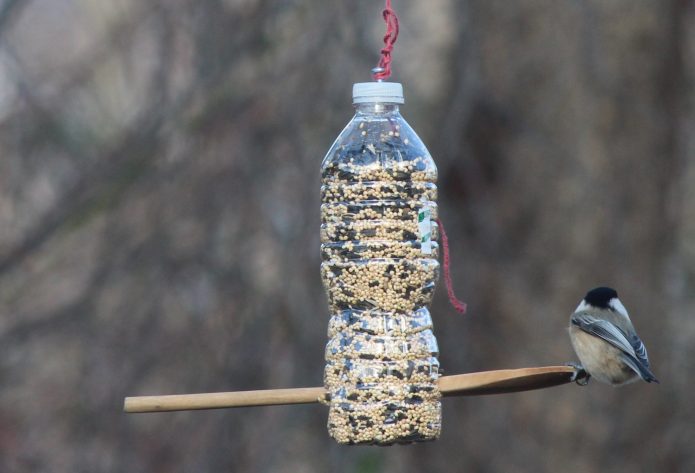 DIY bird feeder