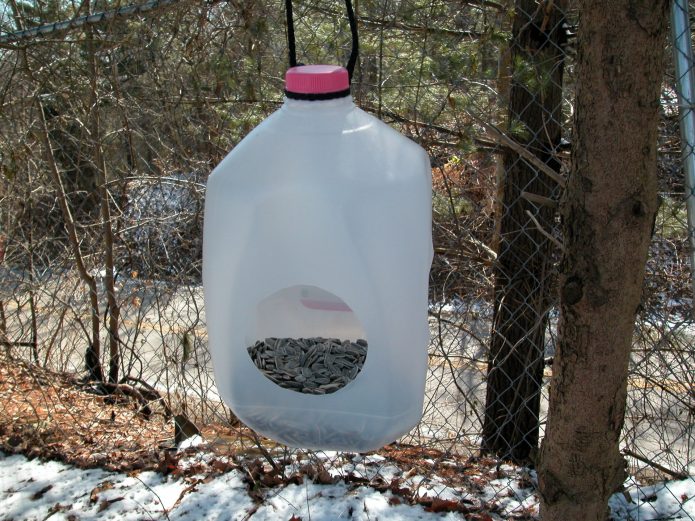 DIY bird feeder