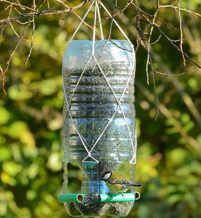 DIY bird feeder