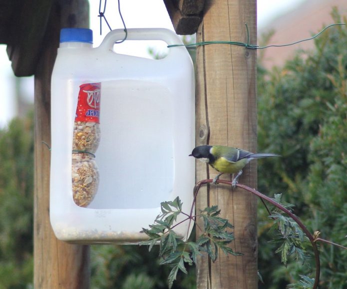 DIY bird feeder