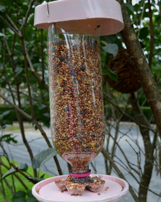 DIY bird feeder