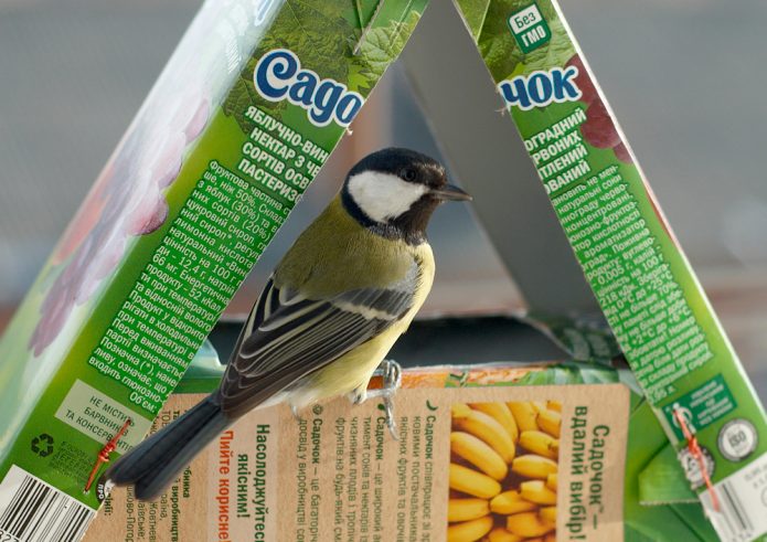 DIY bird feeder