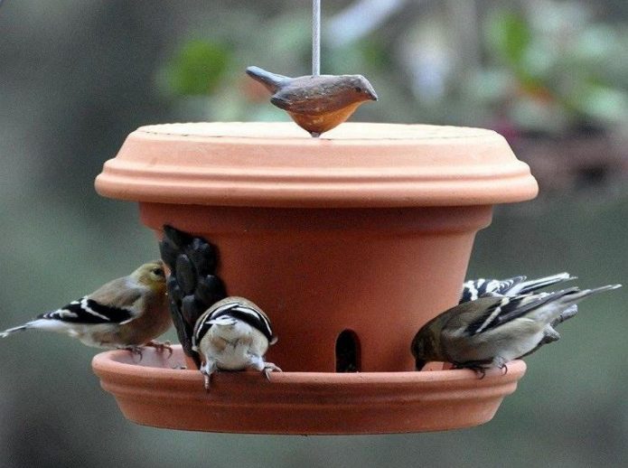 DIY bird feeder