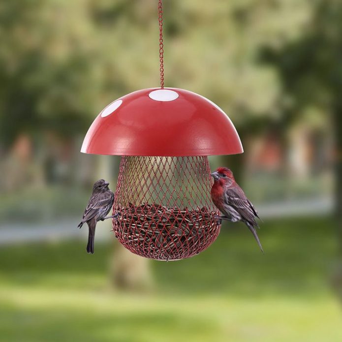 DIY bird feeder