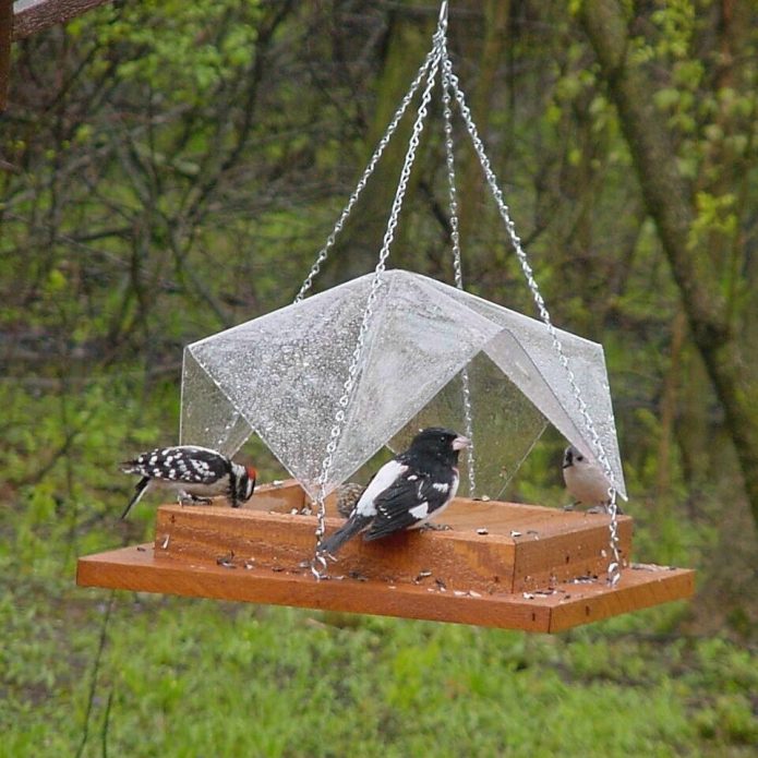 Homemade Wooden Feeder