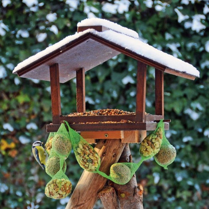 DIY bird feeder