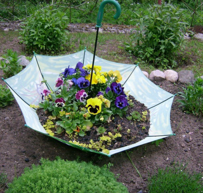 Pansy Umbrella Bed