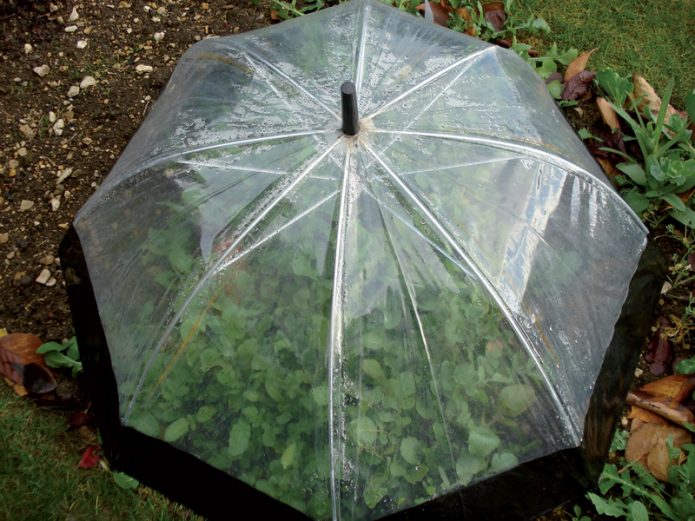 Umbrella Greenhouse