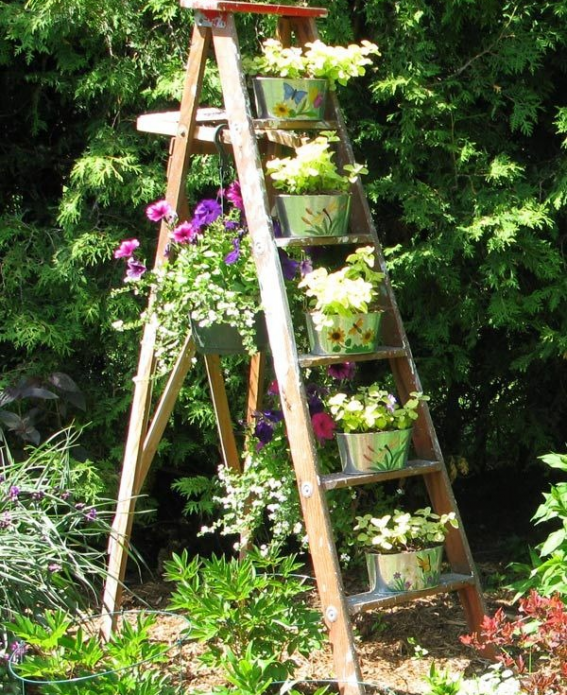 Ang lalagyan ng bulaklak mula sa isang stepladder sa isang cottage sa tag-init