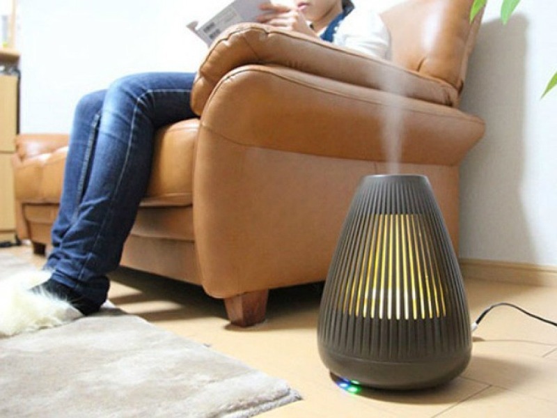 7 simpleng mga ideya para sa pag-humidify sa isang apartment